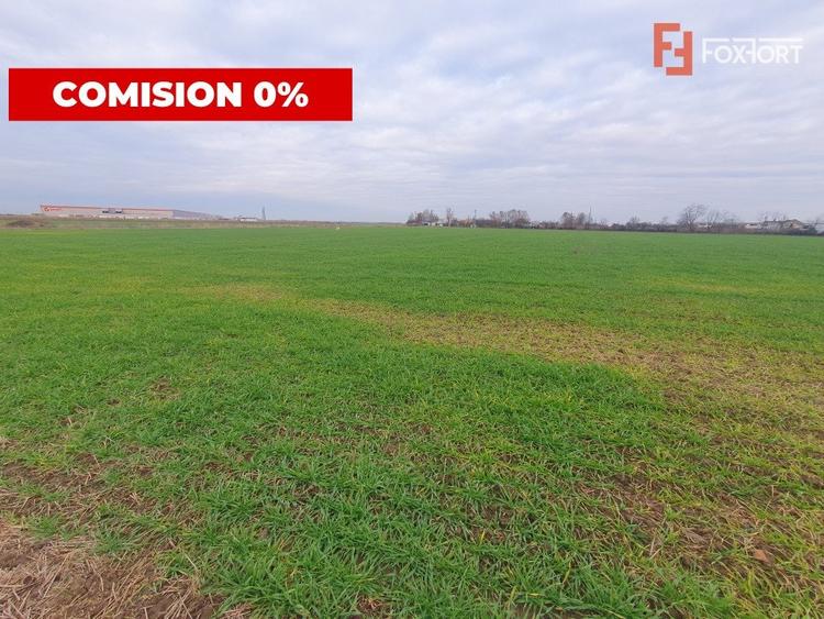 Teren agricol extravilan de 213257 mp, în Sud