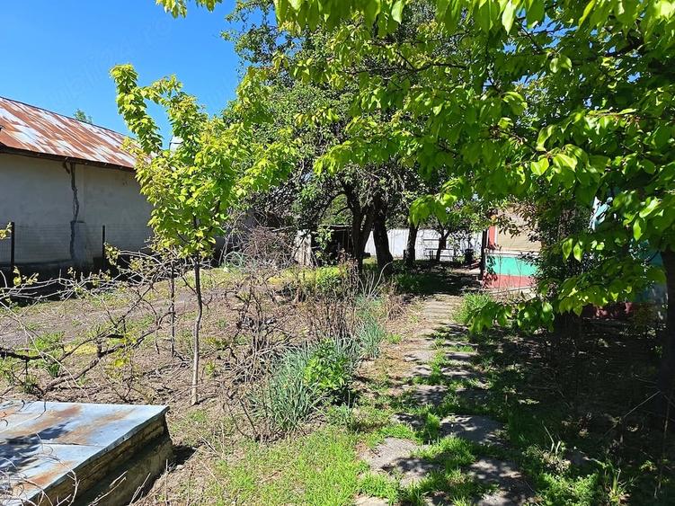 Casa de vinzare - 4