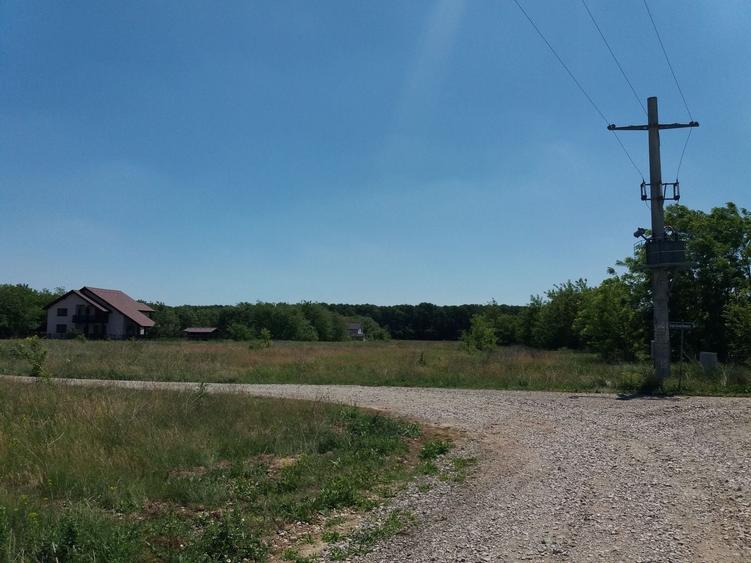 Teren Construcții intravilan de 1250 mp, în Ciofliceni