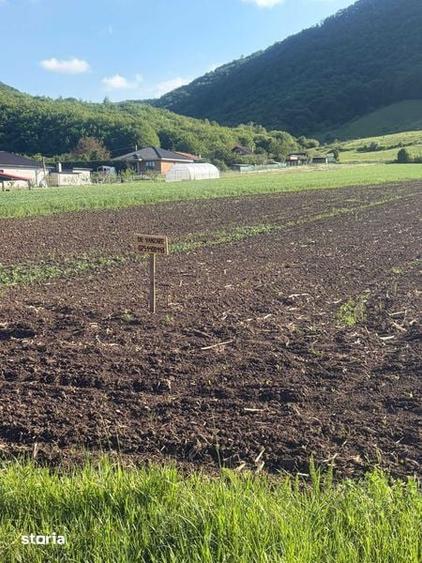 Teren de 2500 mp, în Șieu