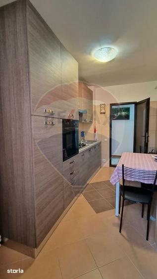 Apartament cu 2 camere, mobilat în Micro 13