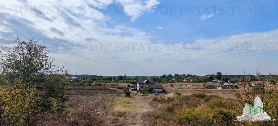 Casă individuală cu 7 camere cu Teren 33000 Mp în Bucșani