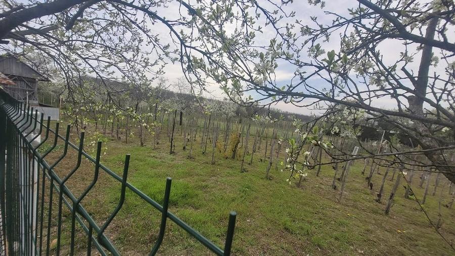 Casă cu 3 camere în Bulzești