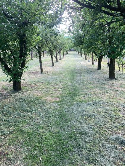 Teren de 2000 mp, în Dezmir