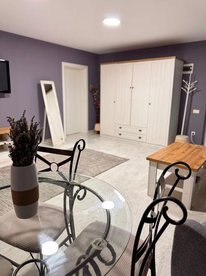 Apartament cu 4 camere, LOC DE PARCARE, zona Copou-Breazu - 13