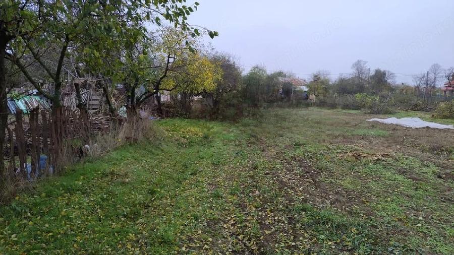 Teren de 3000 mp, în Petrești