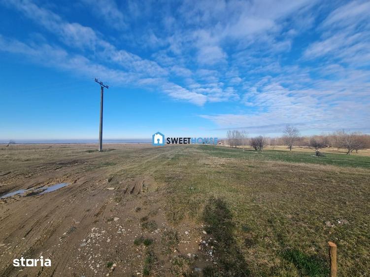 Teren de 22790 mp, în Recea