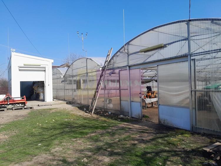 Teren Construcții intravilan de 3144 mp, în Roșiori