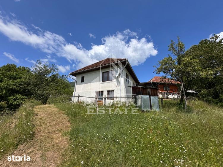 Casă cu 4 camere cu Teren 3534 Mp în Blăjeni