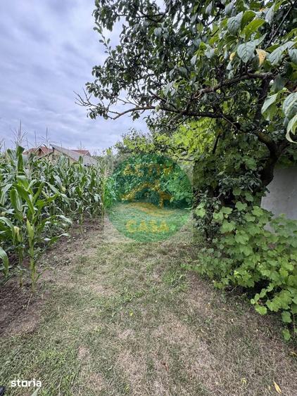 Casă cu 2 camere cu Teren 1000 Mp în Butea