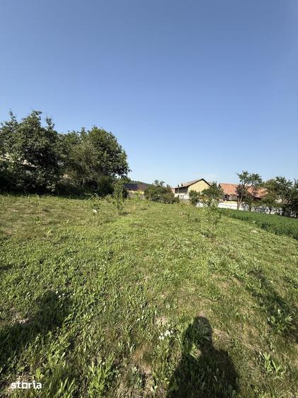 Casă cu 5 camere cu Teren 1400 Mp în Mănăstirea Cașin