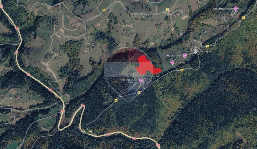 Teren agricol extravilan de 7083 mp, în Poiana Mărului