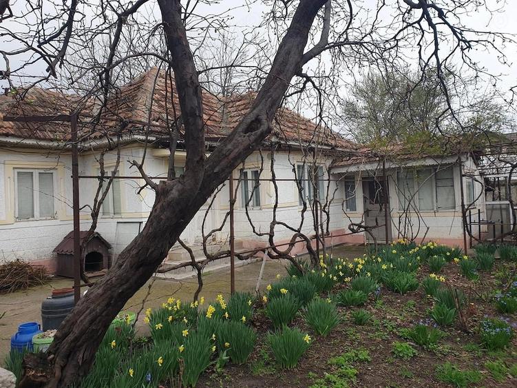 Casă cu 4 camere cu Teren 533 Mp în Oreavul