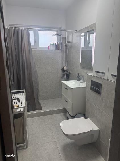 Apartament cu 2 camere, mobilat în Viile Noi
