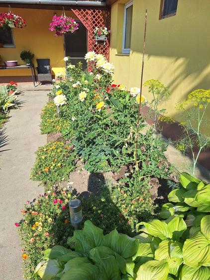 Casă cu Teren 720 Mp în Bobda