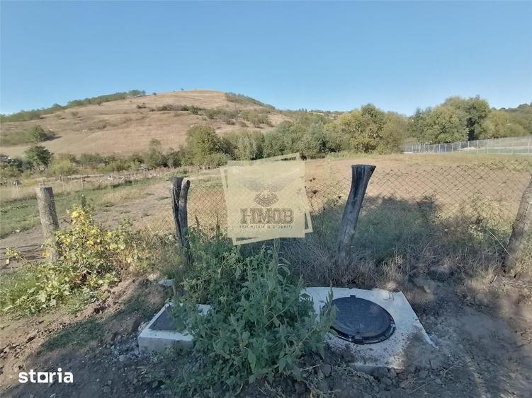 Teren intravilan 3500 mp zona Hamba - 6