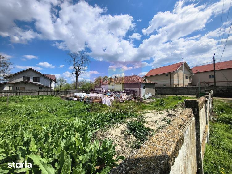 Teren de 975 mp, în Cernica