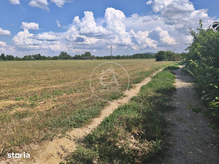 Teren de 1780 mp, în Sânmartin