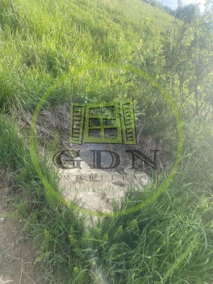 Teren Construcții intravilan de 2500 mp, în Daia