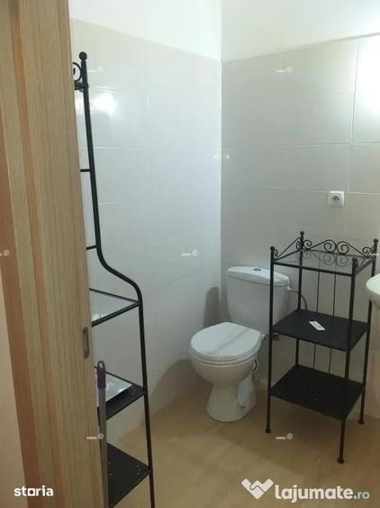 Stefan cel mare obor cu gradina - 9