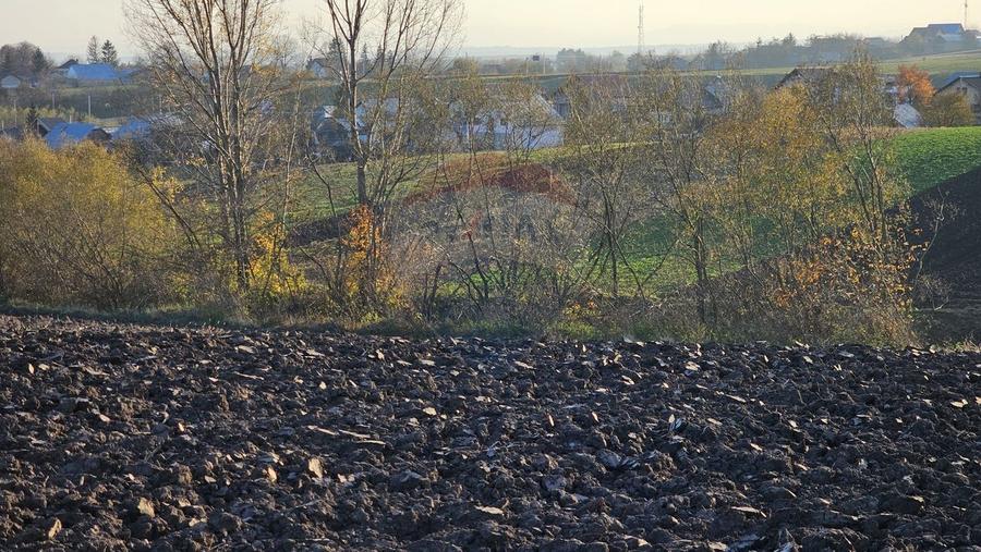 Teren agricol extravilan de 6100 mp, în Stroiești