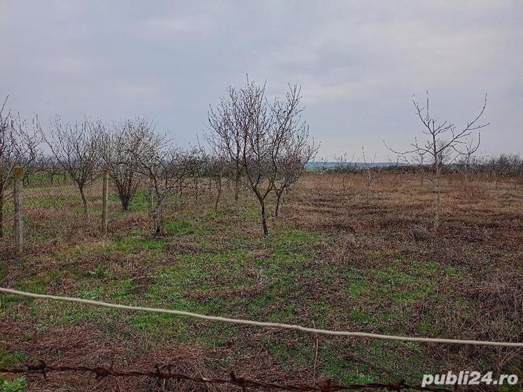 Teren de 1439 mp, în Murani