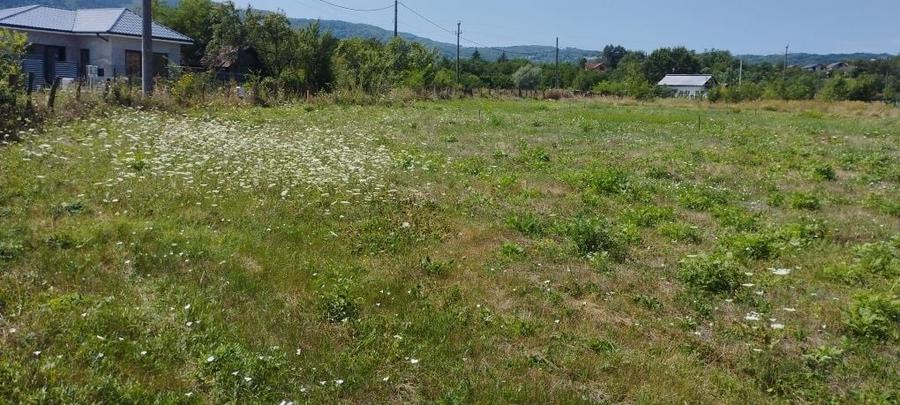 Teren de 650 mp, în Frâncești