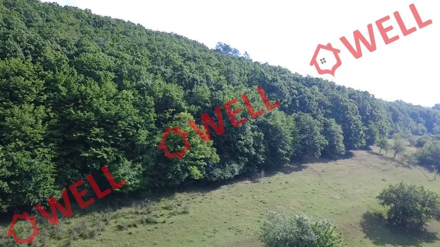 Teren extravilan de 98200 mp, în Moacșa