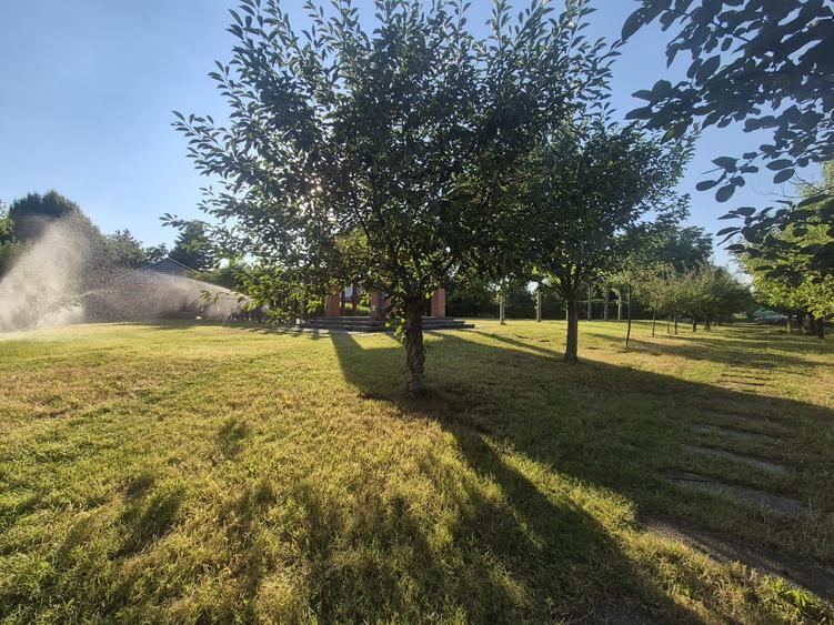 Casă individuală cu 6 camere cu Piscina în Bolintin-Deal