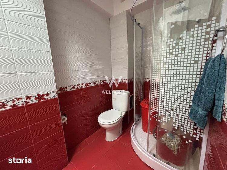 Apartament 3 camere mobilat-utilat cu GARAJ - Doamna Stanca - 14