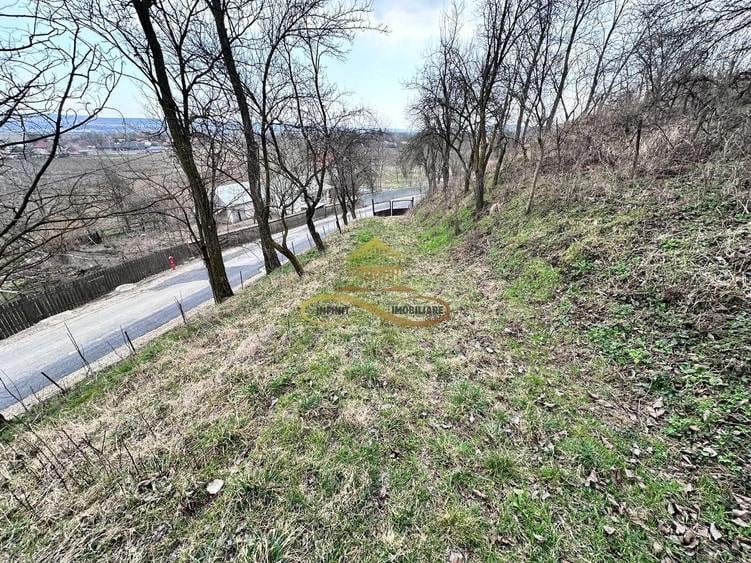 Teren Construcții intravilan de 11021 mp, în Blăgești