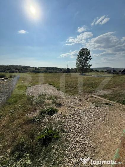 Teren de vanzare, 2212 mp, zona Tarpiu - 4