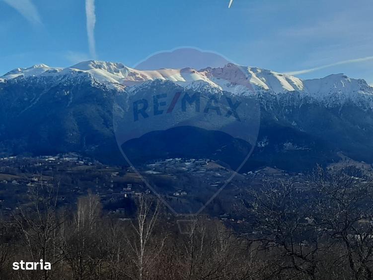 Ocazie! Teren 9735 mp Bran- Predelut / Strada Pe Tarina nr. 70A - 4