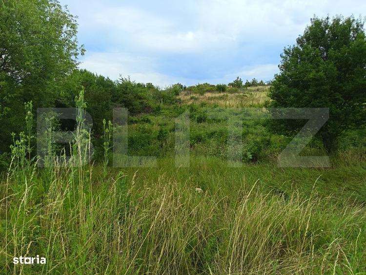 Teren Intravilan, de vanzare, 918 mp, zona Livada Meses - 3