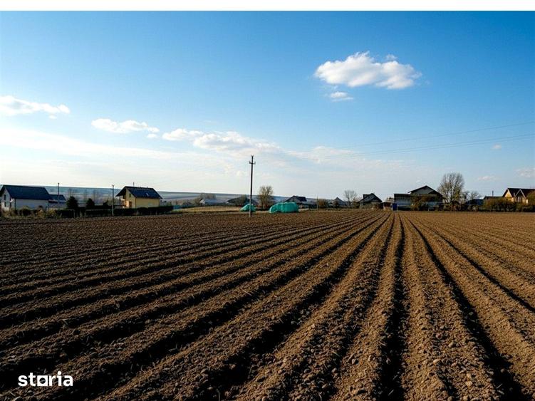 Teren de 991 mp, în Burdujeni