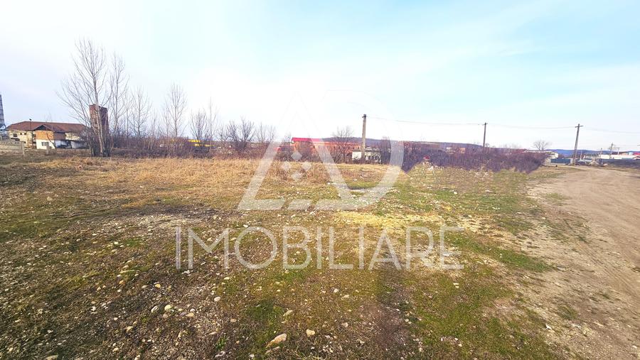 Teren Construcții intravilan de 12000 mp, în Rovinari
