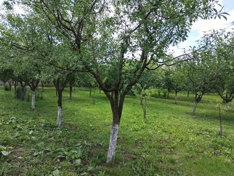 Teren de 1200 mp, în Șimand