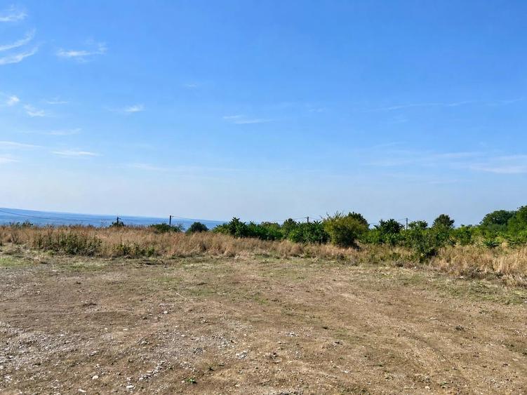 Teren intravilan de 10000 mp, în Bucium