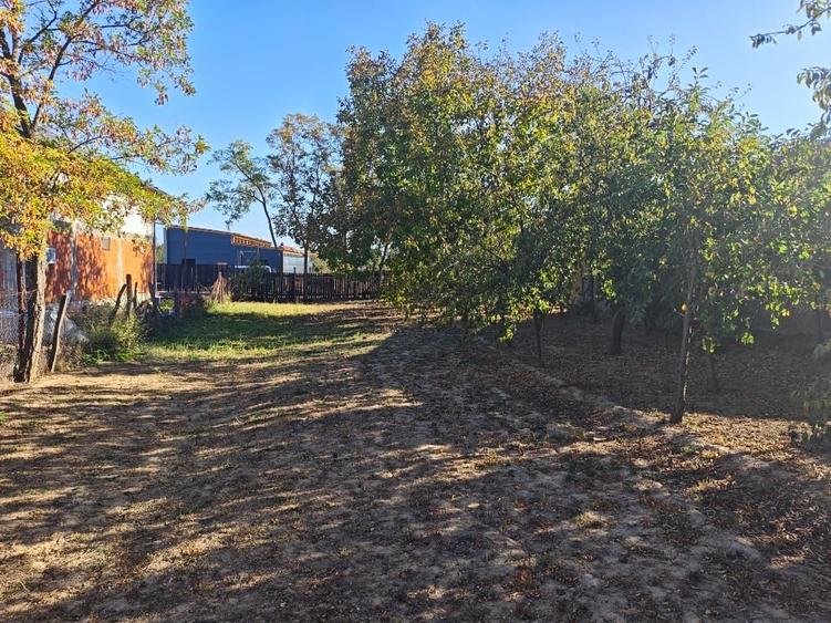 Teren Construcții intravilan de 3384 mp, în Periș
