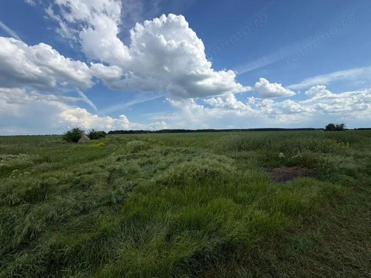 15-50 ha, parcelat, Mihailesti Giurgiu - 2