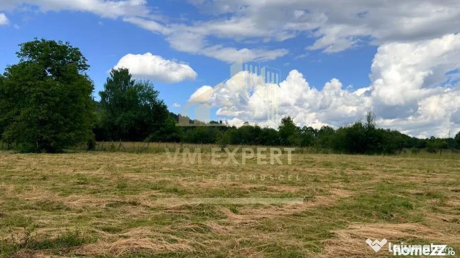 Casă cu 3 camere cu Teren 6997 Mp în Bughea de Sus