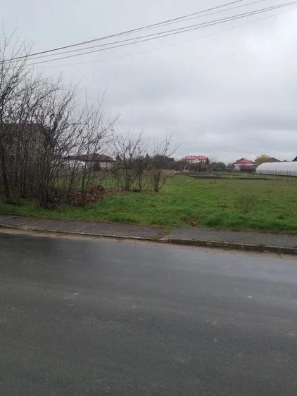Teren Construcții intravilan de 1000 mp, în Cornetu