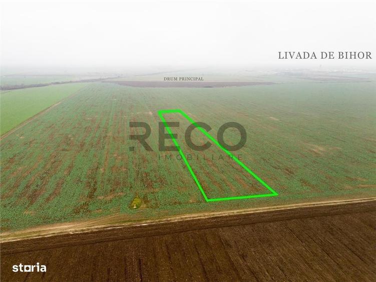 Spațiu comercial, în Livada de Bihor