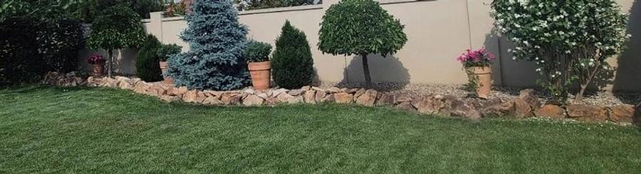 Casă cu 2 camere cu Teren 595 Mp în Săcălaz