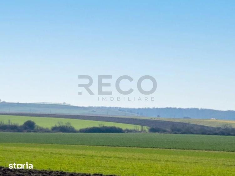 Teren de 42050 mp, în Tăut