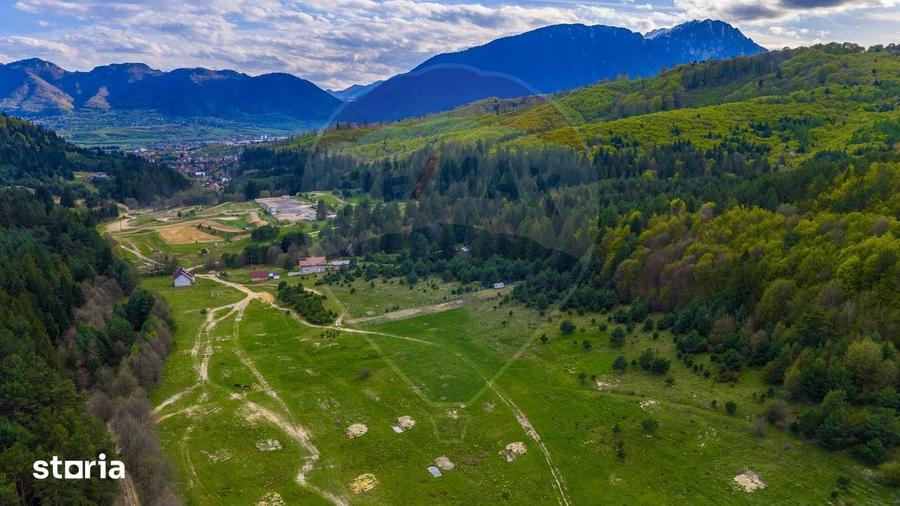 Teren de 10000 mp, în Brebina