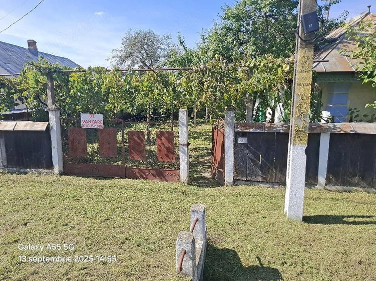 Teren de 7900 mp, în Români