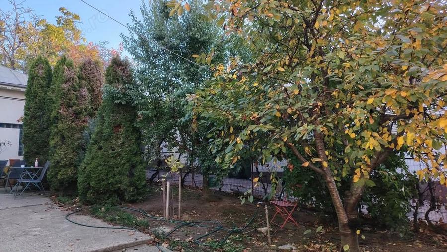 Casă cu 4 camere cu Teren 500 Mp în Central