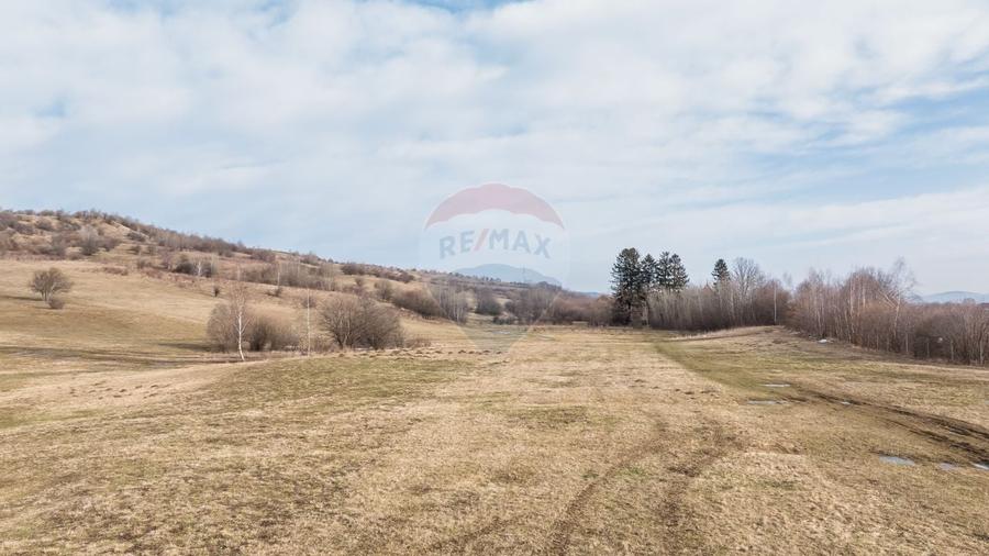 Teren Construcții intravilan de 4500 mp, în Tohanu Nou
