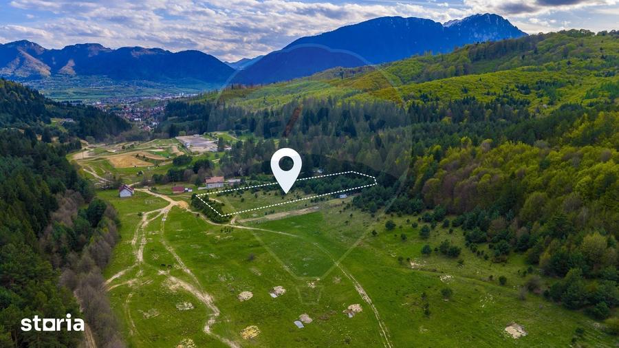 Teren de 10000 mp, în Brebina